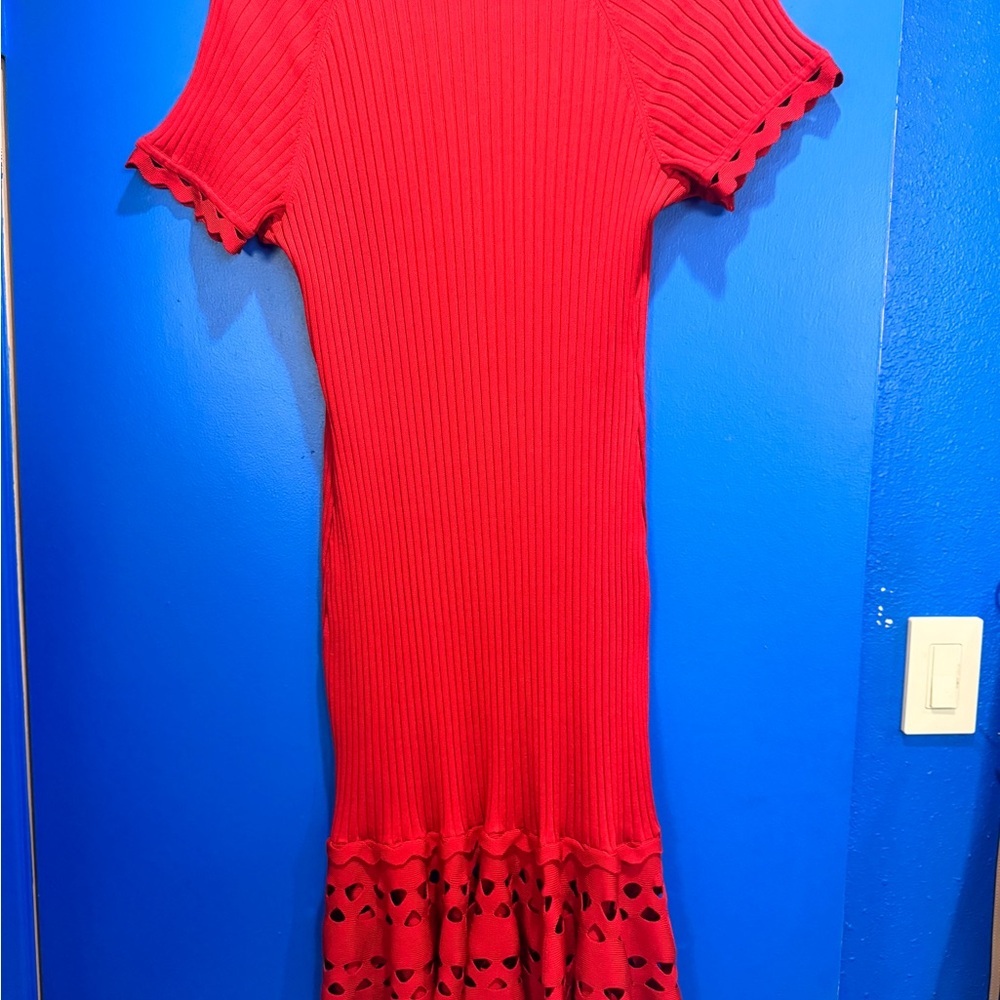 Jonathan Simkhai Vibrant Red Midi Dress - Picture 11 of 14